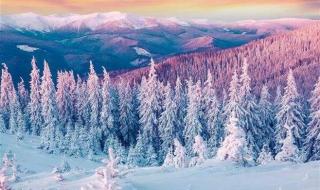 赞美冬天雪景的诗句