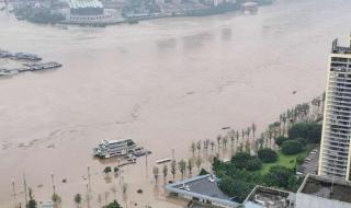 重庆主城洪水情况